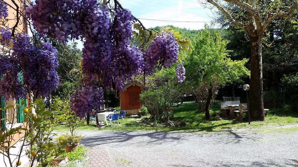 Villa Storica Calderino Monte San Pietro Ngoại thất bức ảnh